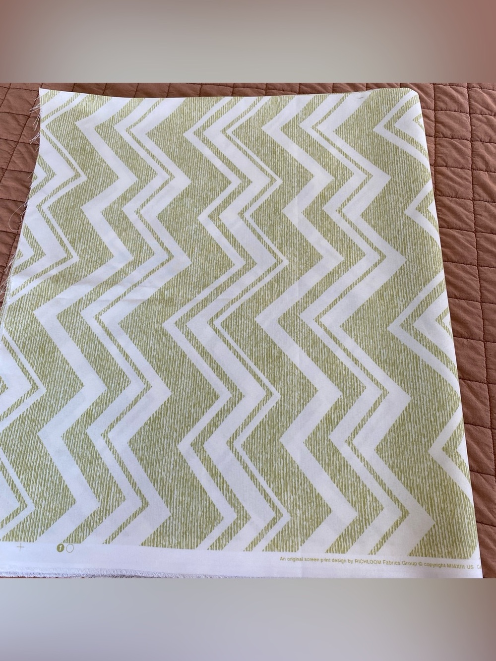 RICHLOOM ZACCARO LIME ZIG ZAG OUTDOOR CUSHION FURNITURE FABRIC  54" W 2.5 Yards